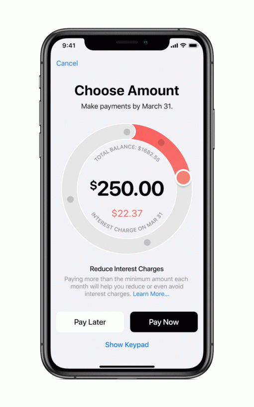 Apple Card choose payment amount screen 03252019