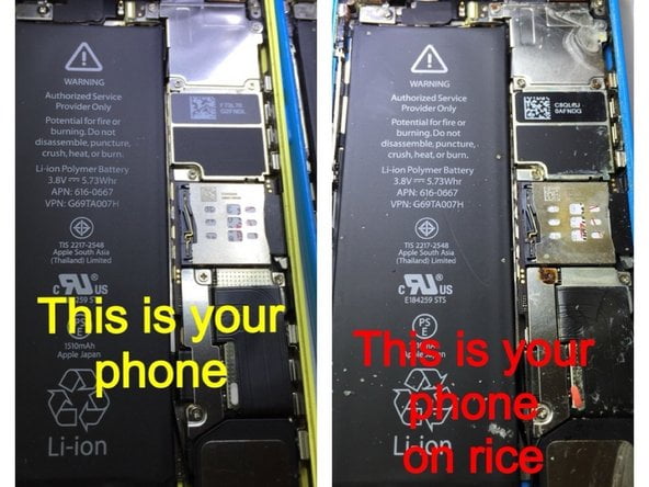 iPhone fell in water? Drying in rice is a stupid idea!