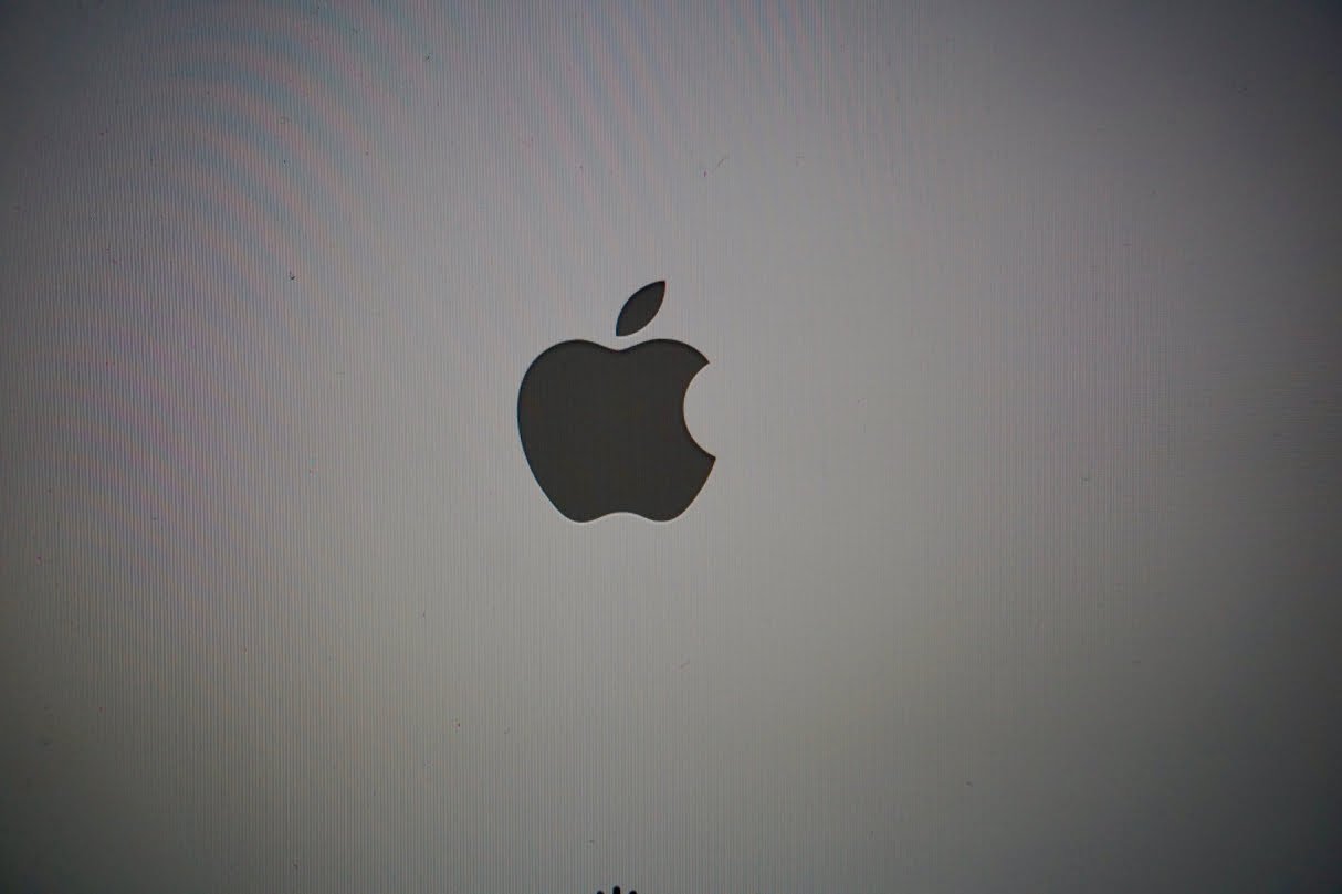 Apple Logo screen