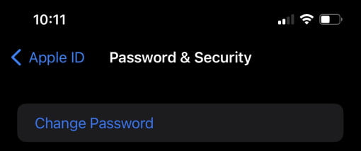 password security ios